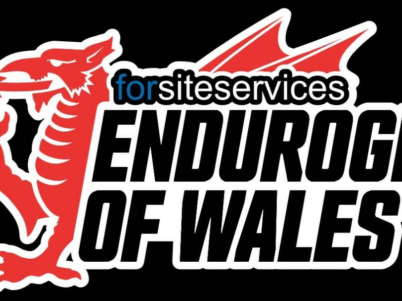 manual override of alt text