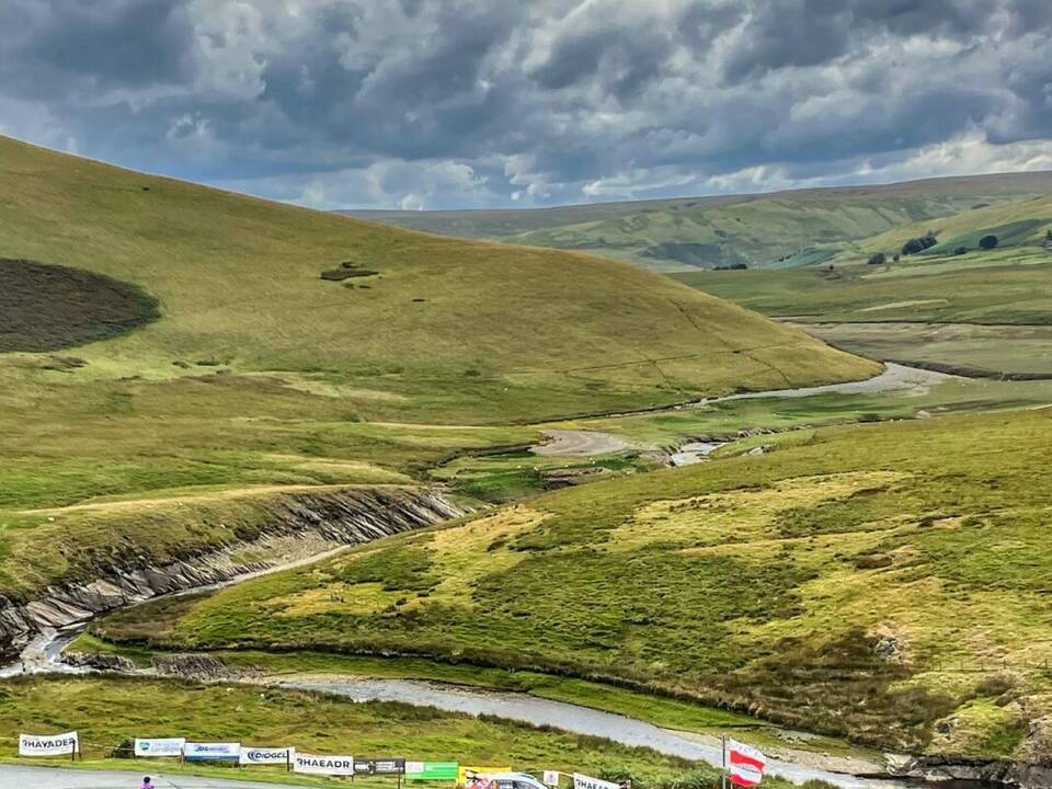 manual override of alt text