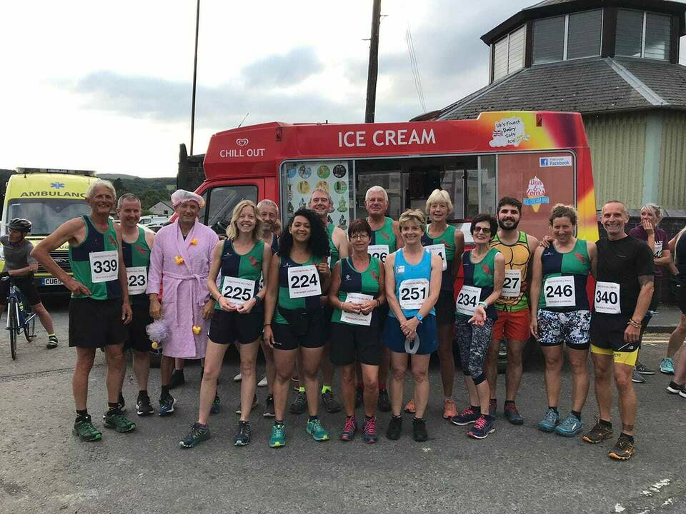 manual override of alt text