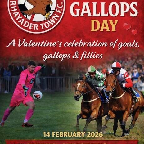 manual override of alt text