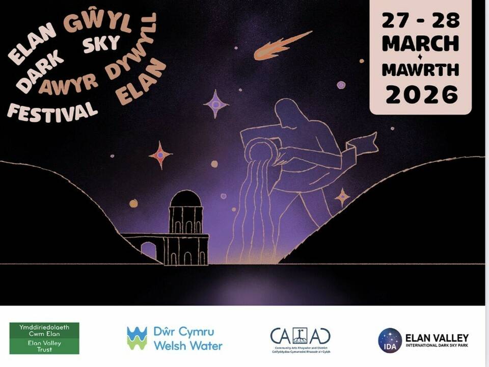 manual override of alt text