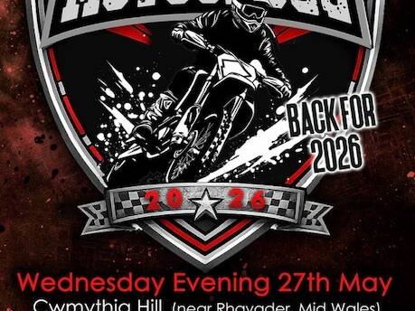 manual override of alt text