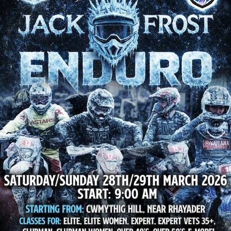 manual override of alt text