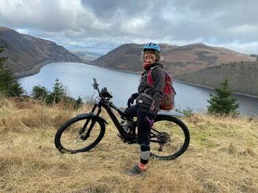 manual override of alt text