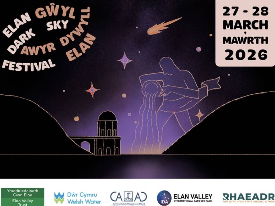 manual override of alt text