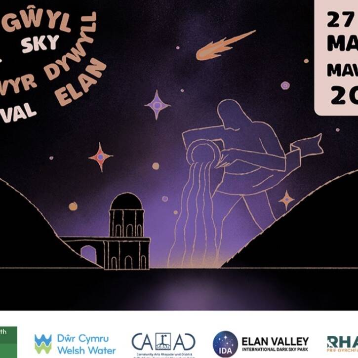 manual override of alt text