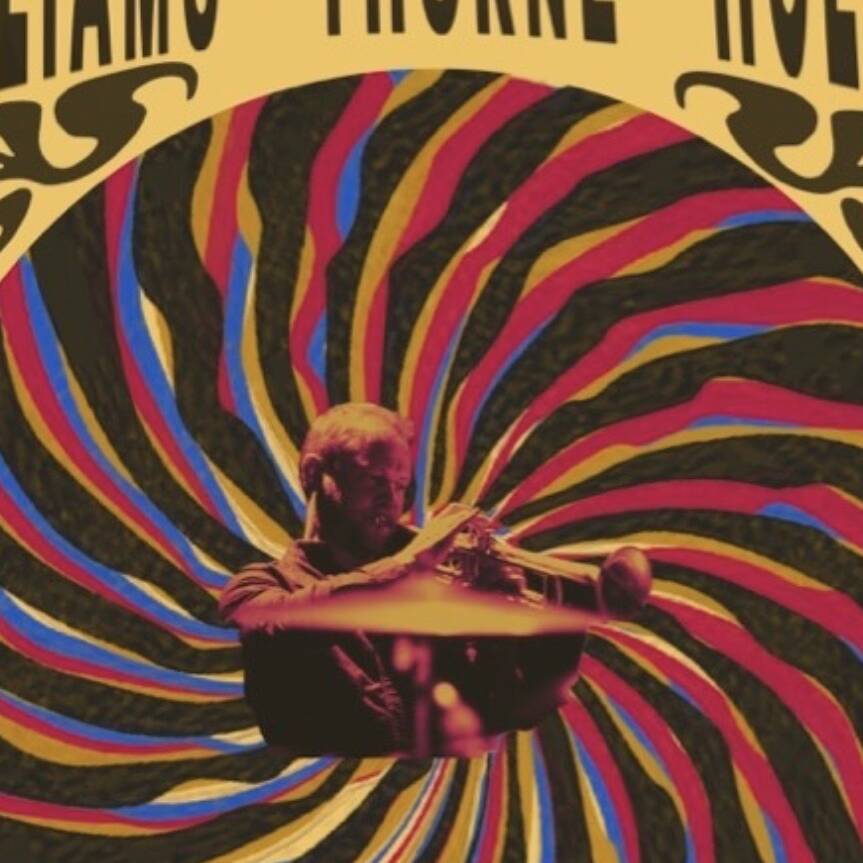 manual override of alt text