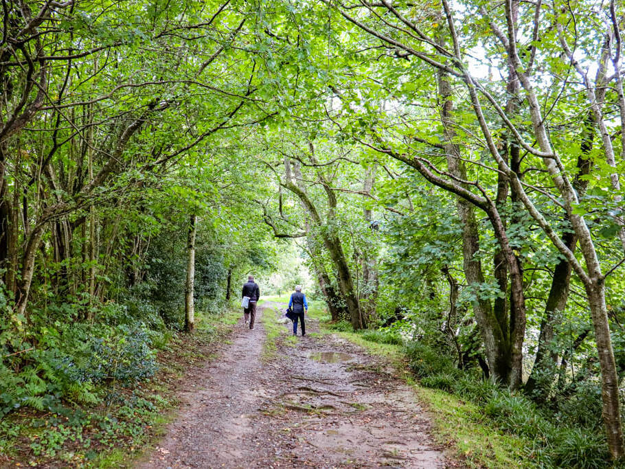 manual override of alt text