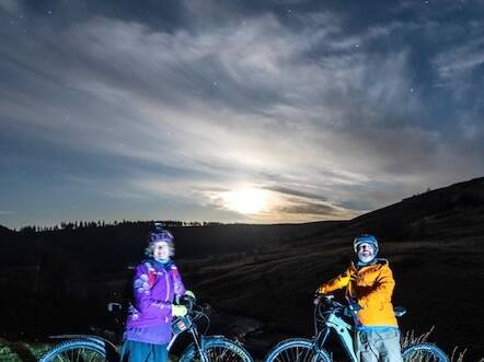 manual override of alt text