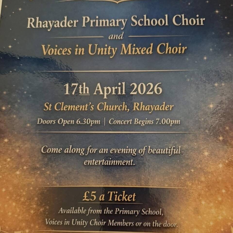 manual override of alt text